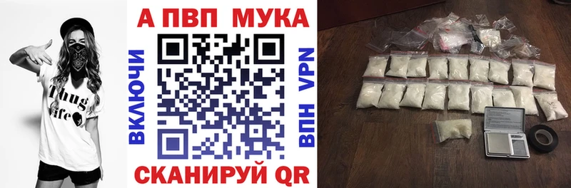 Купить закладки  Курчалой  Альфа ПВП СК 
