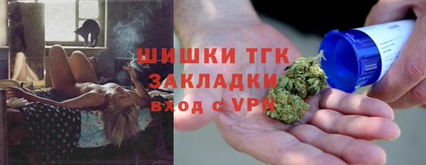 индика Богданович