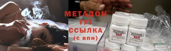 индика Богданович