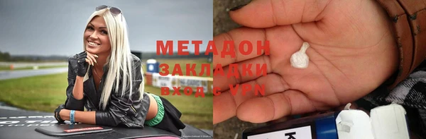 индика Богданович