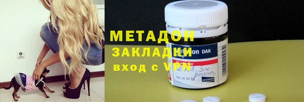 индика Богданович