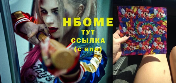 индика Богданович