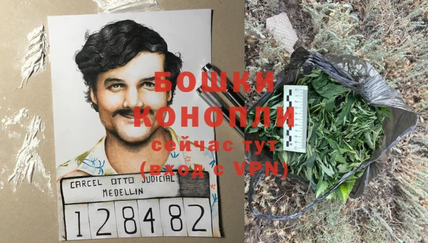 индика Богданович