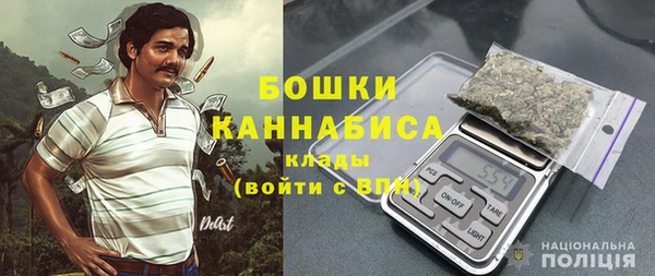 индика Богданович