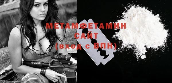 индика Богданович