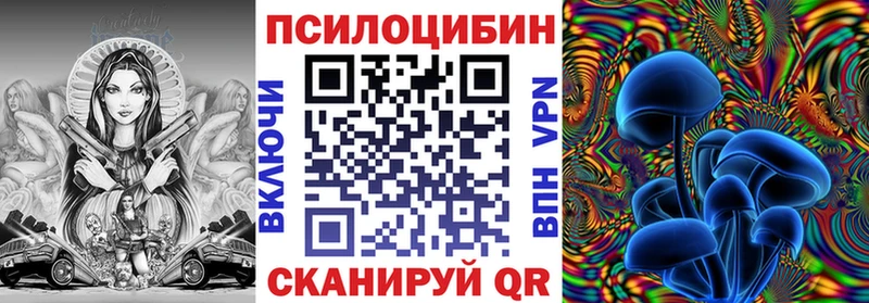Псилоцибиновые грибы Psilocybe  Купить где  Курчалой 